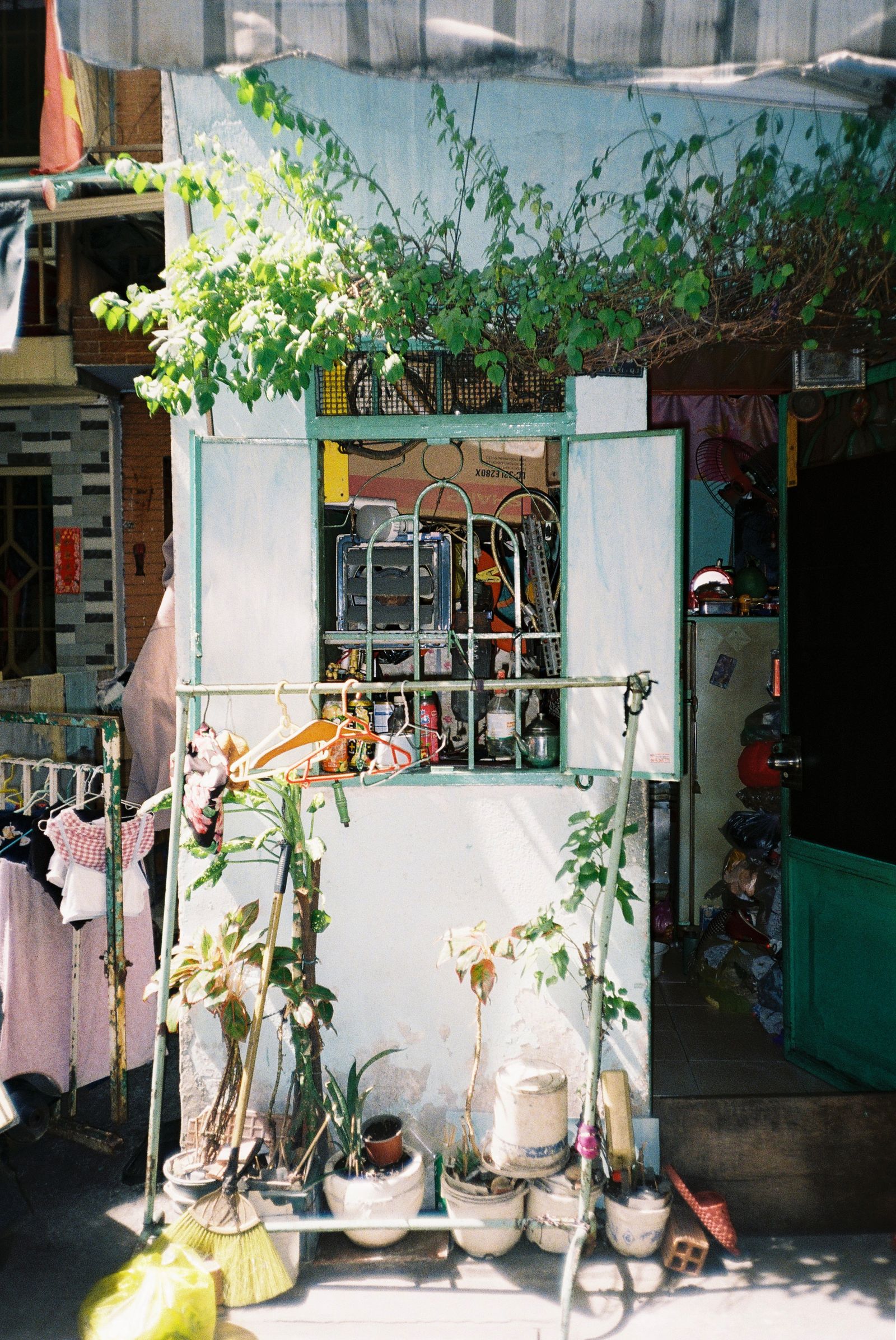 Entrée de maison fleurie avec des plantes en pot