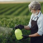 Roundup Ultra Plus