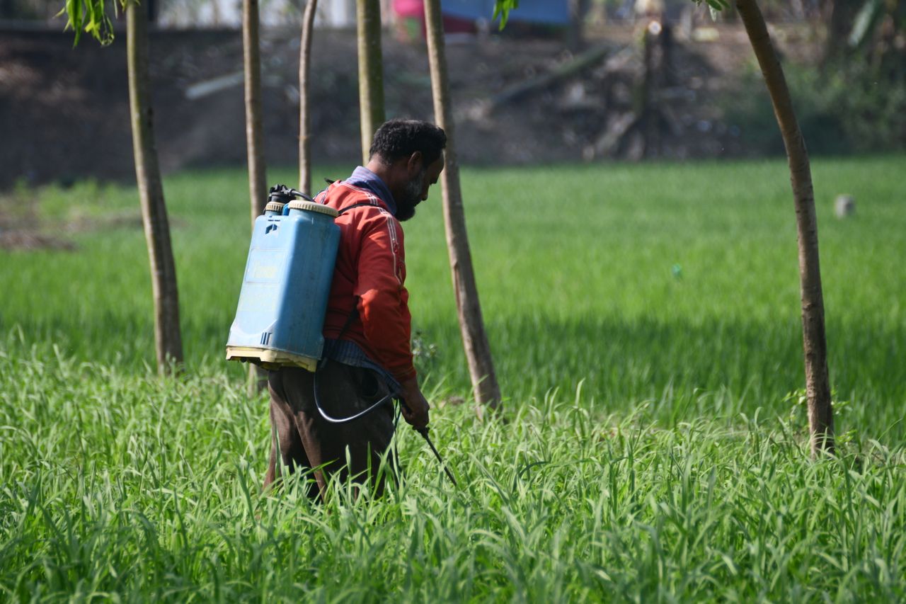 Dosage de glyphosate pour 5 litres d’eau