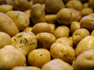 Pommes de terre