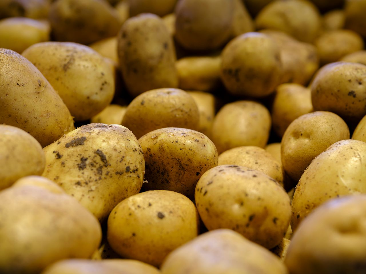 Pommes de terre